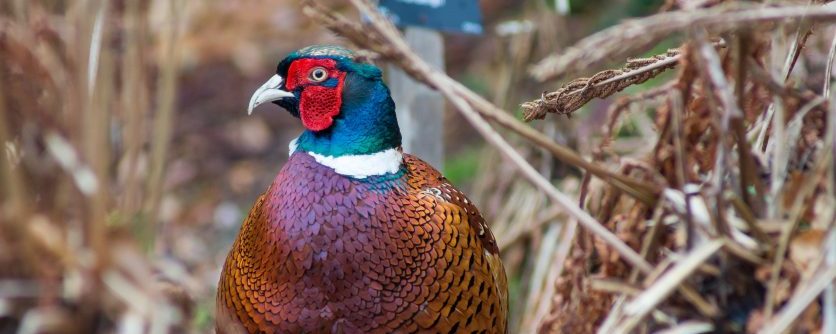 Interested in the latest news? Stay up to date